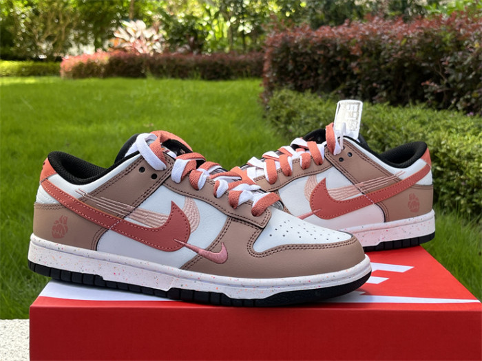 Authentic Nike Dunk Low FD4623-154