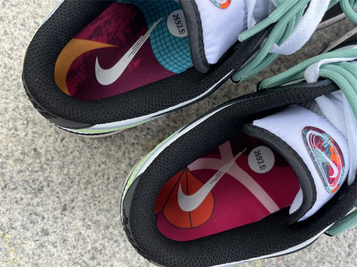 Authentic Nike Dunk Low FD4623-152