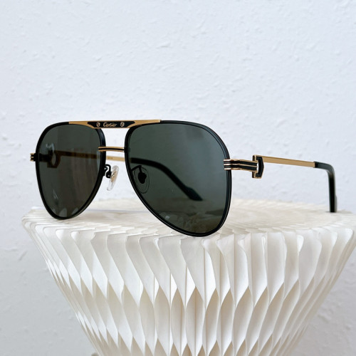 Cartier Sunglasses AAAA-3481