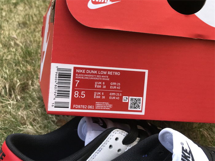 Authentic Nike Dunk Low FD9762-061
