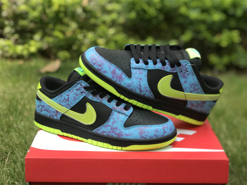 Authentic Nike Dunk Low “Acid Wash”