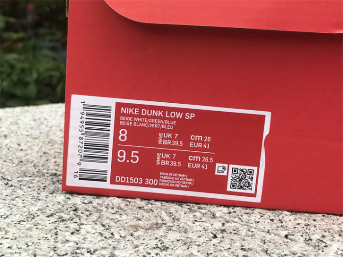 Authentic Nike Dunk Low DD1503-300