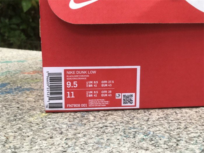 Authentic Nike Dunk Low FN7808-001