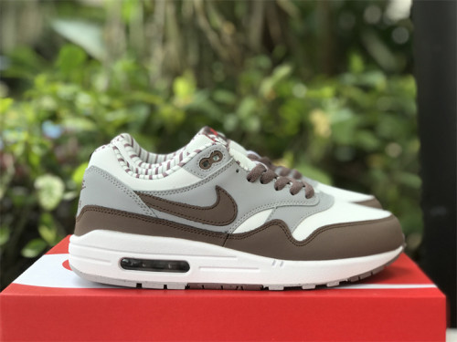 Authentic Nike Air Max 1 “Shima Shima”