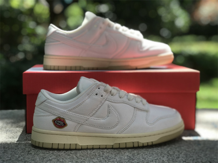 Authentic Nike Dunk Low “The Future is Equal”