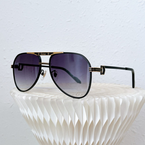 Cartier Sunglasses AAAA-3480