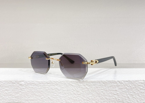 Cartier Sunglasses AAAA-3994