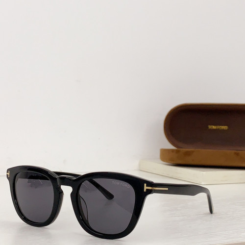 Tom Ford Sunglasses AAAA-2472