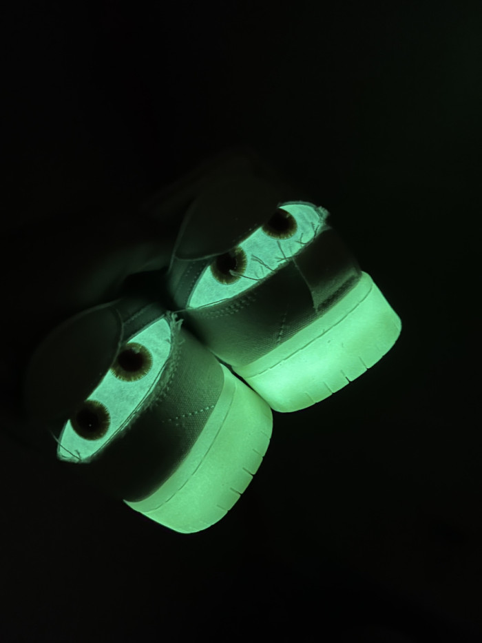 Authentic Nike Dunk SB Low Mummy