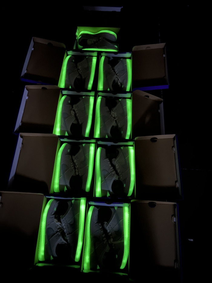 Authentic Nike Dunk SB Low Mummy