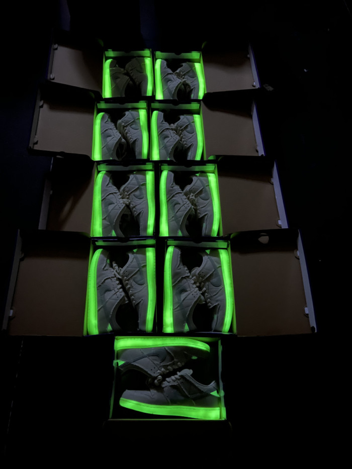 Authentic Nike Dunk SB Low Mummy