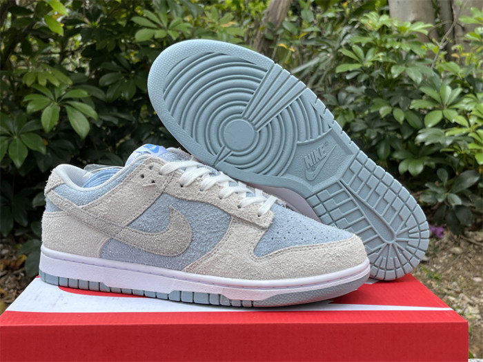 Authentic Nike Dunk Light Armory Blue