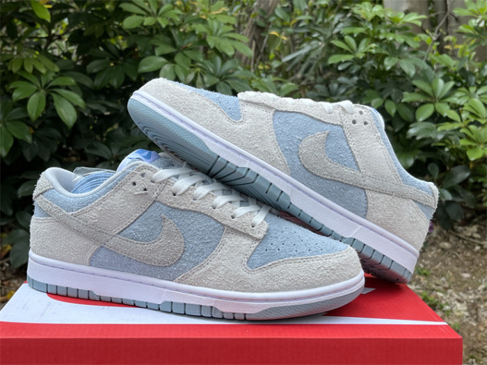 Authentic Nike Dunk Light Armory Blue