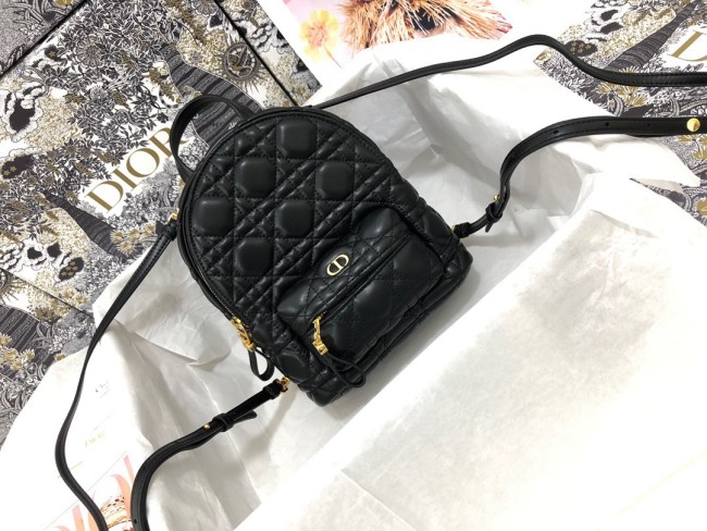 Dior Backpack High End Quality-001