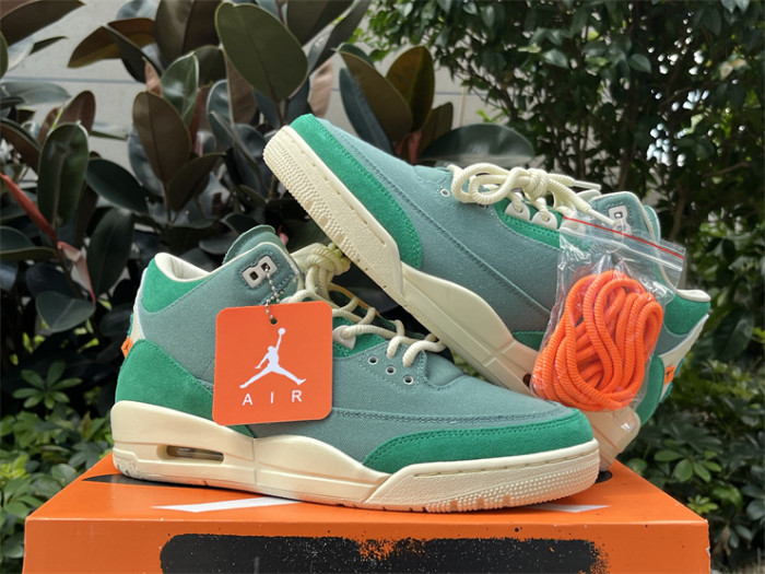 Authentic Nina Chanel Abney x Air Jordan 3