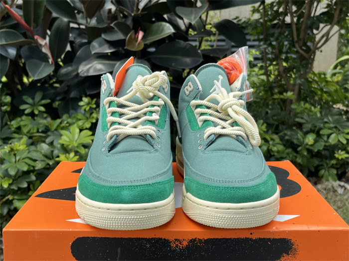 Authentic Nina Chanel Abney x Air Jordan 3