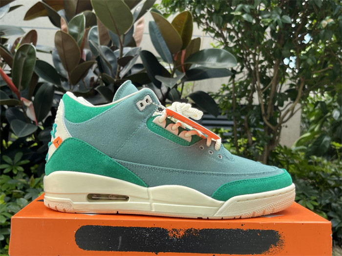 Authentic Nina Chanel Abney x Air Jordan 3