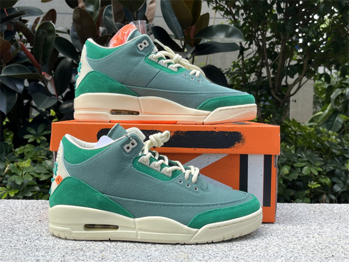 Authentic Nina Chanel Abney x Air Jordan 3