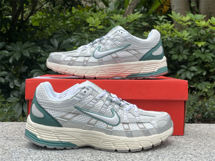 Authentic Nike P-6000 Shoes-001