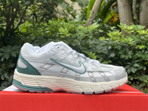 Authentic Nike P-6000 Shoes-001