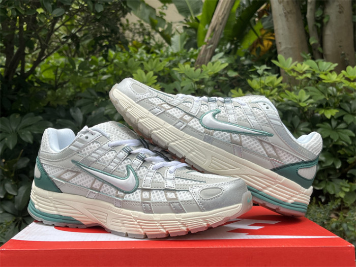 Authentic Nike P-6000 Shoes-001
