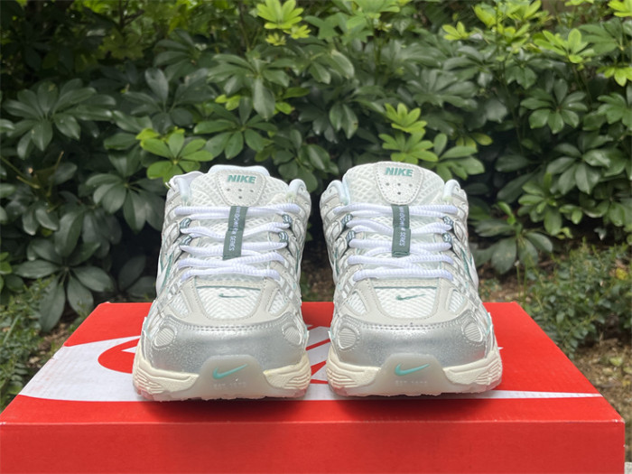 Authentic Nike P-6000 Shoes-001