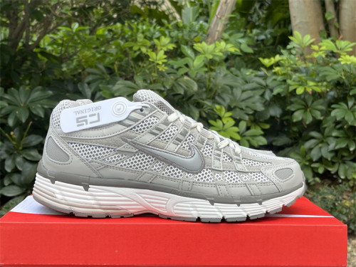 Authentic Nike P-6000 Shoes-003