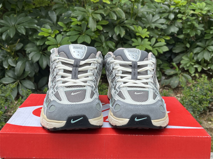 Authentic Nike P-6000 Shoes-002