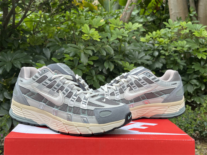 Authentic Nike P-6000 Shoes-002