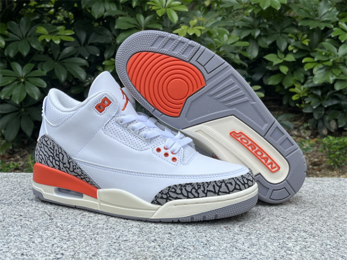 Authentic Air Jordan 3 “Georgia Peach” Women Shoes