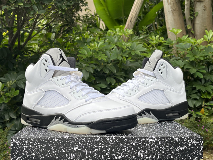 Authentic Air Jordan 5 “Reverse Metallic”
