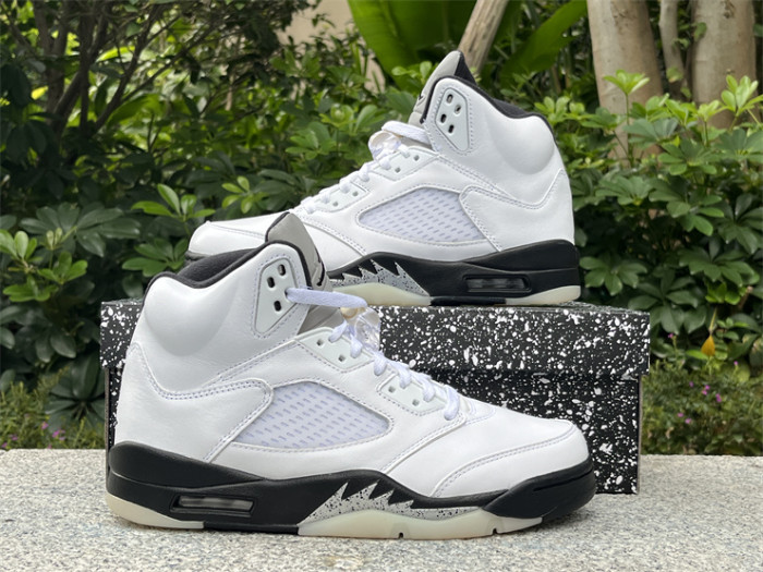 Authentic Air Jordan 5 “Reverse Metallic”