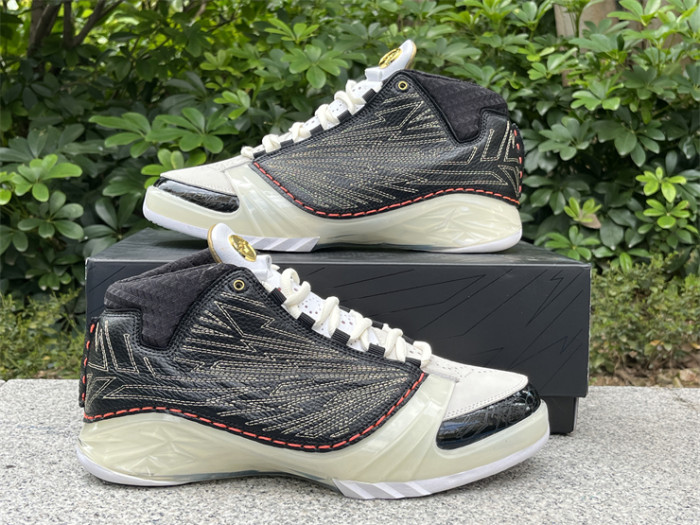 Authentic Titan x Air Jordan 23 Retro SP 10th Anniversary