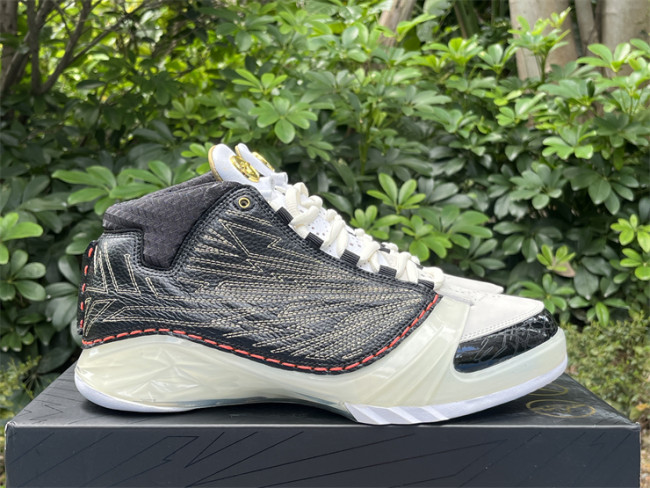 Authentic Titan x Air Jordan 23 Retro SP 10th Anniversary