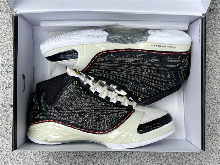 Authentic Titan x Air Jordan 23 Retro SP 10th Anniversary