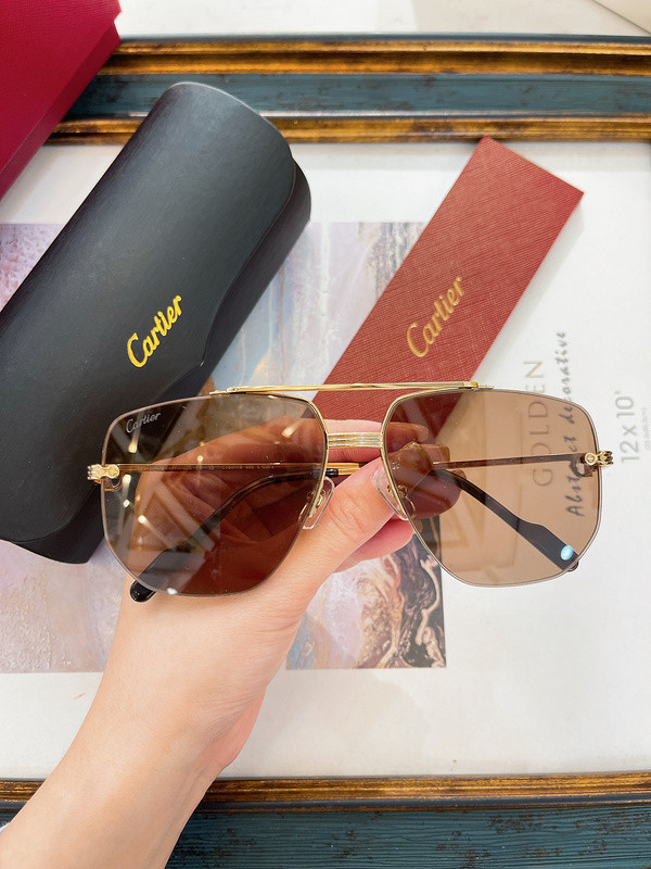 Cartier Sunglasses AAAA-5862