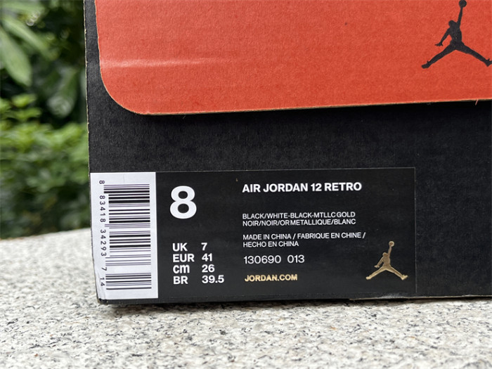 Authentic Air Jordan 12 “The Master”