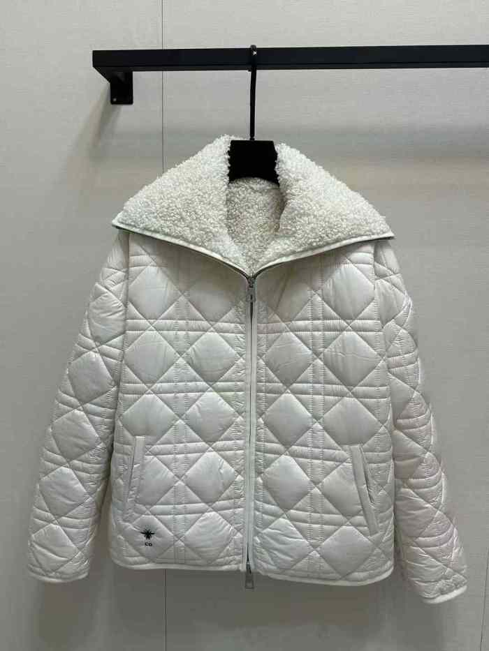 Dior Jacket High End Quality-203