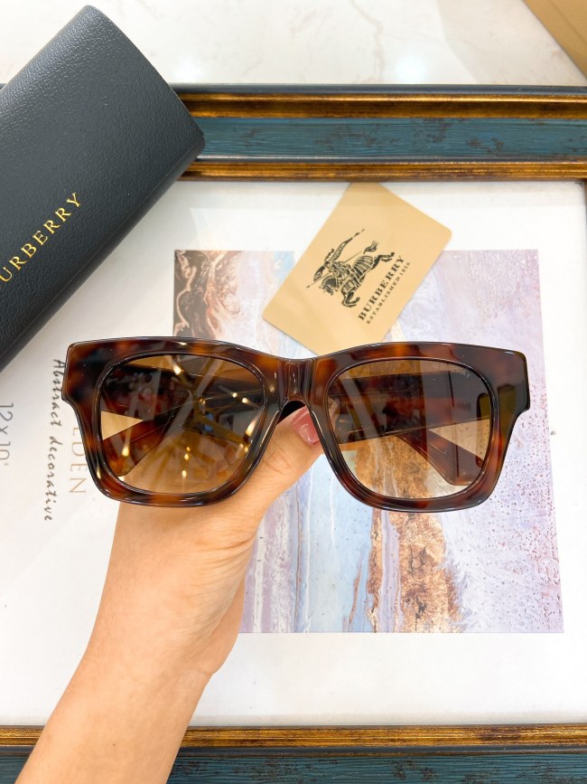 Burberry Sunglasses AAAA-2815