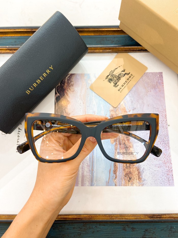 Burberry Sunglasses AAAA-2911