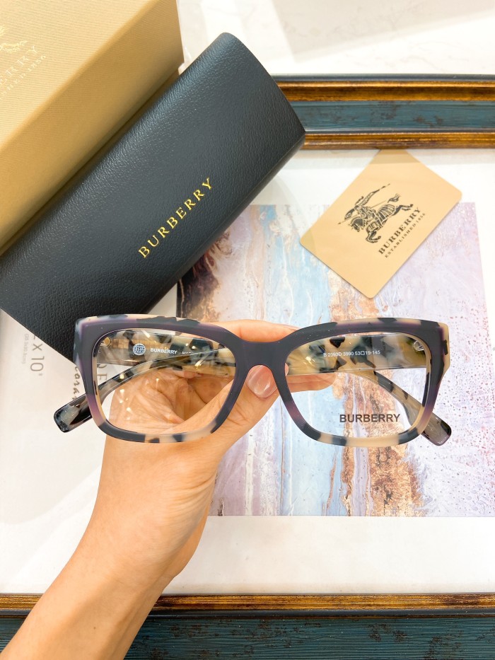 Burberry Sunglasses AAAA-2919