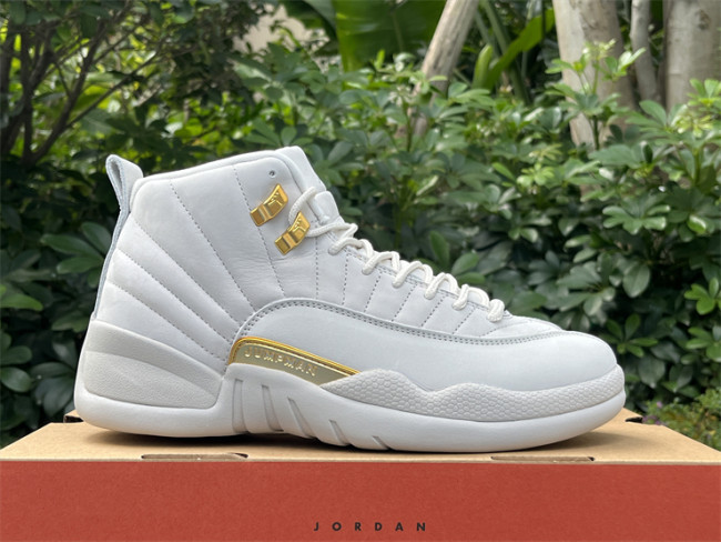 Authentic Air Jordan 12 “Phantom”