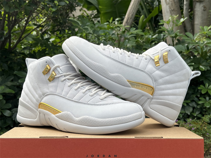 Authentic Air Jordan 12 “Phantom”