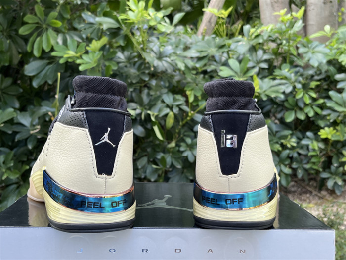 Authentic Infinite Archives Air Jordan 17 Low Beach