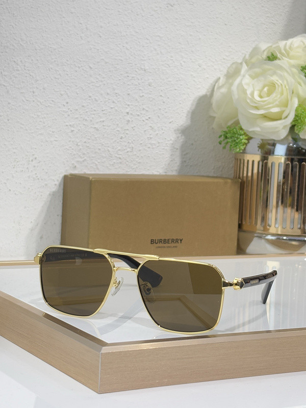 Burberry Sunglasses AAAA-3191