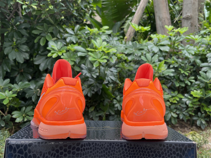 Authentic Nike Kobe 6 Protro Total Orange