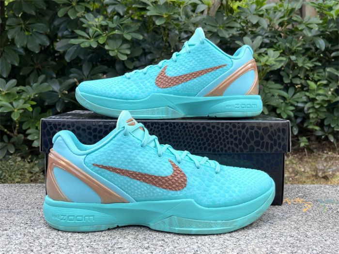 Authentic Jalen Brunson's Nike Kobe 6  Statue of Liberty  PE