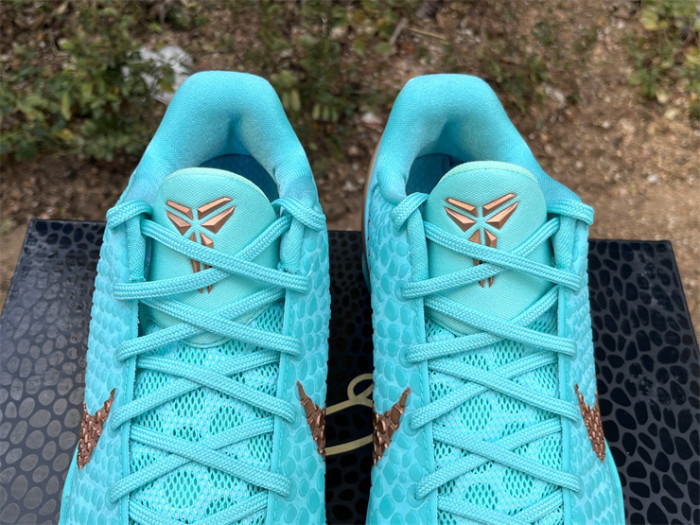 Authentic Jalen Brunson's Nike Kobe 6  Statue of Liberty  PE