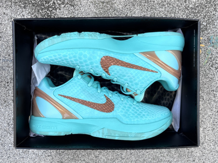 Authentic Jalen Brunson's Nike Kobe 6  Statue of Liberty  PE