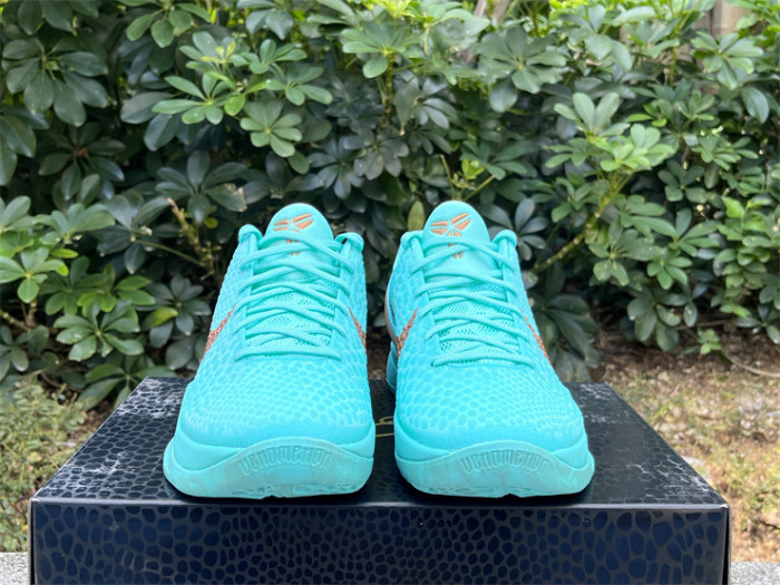 Authentic Jalen Brunson's Nike Kobe 6  Statue of Liberty  PE